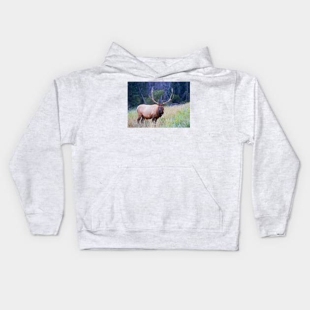 Bull Elk Kids Hoodie by valentina9